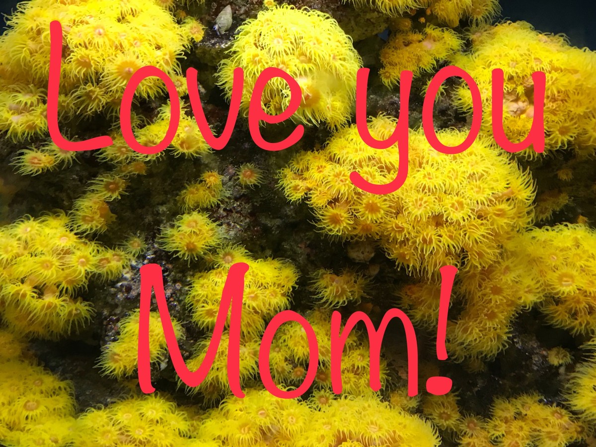 Those who are having it tough this Mother’s Day, we see&nbsp;you!